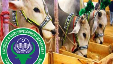 Farmers in UC Lohdra, Mughal and Sagri awarded for animal husbandry