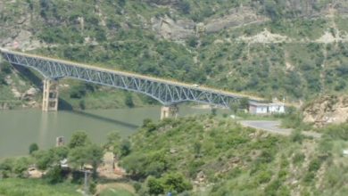 Son of Sheikh Karamat killed in accident