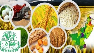 Retired Kallar Syedan agriculture workers not paid