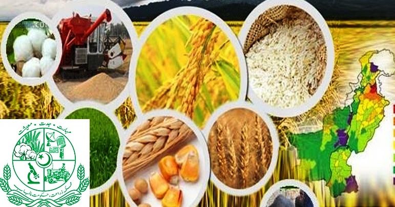 Retired Kallar Syedan agriculture workers not paid Retired Kallar Syedan agriculture workers not paid