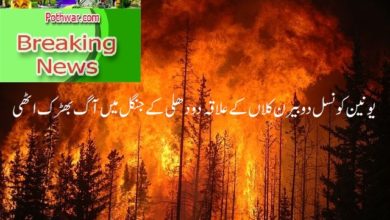 Kallar Syedan; Fire broken out at Dodilli jungle area