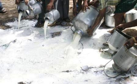 Kahuta; Authorities accused of turning blind eye towards fake milk being sold Kahuta; Authorities accused of turning blind eye towards fake milk being sold