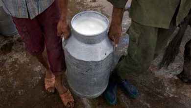 Kahuta: sale of open milk containing chemicals is going on in Kahuta