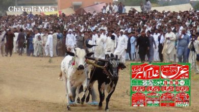 لالہ عبد الجبار کی بیل جوڑی نے چکڑالی کا میدان مار لیا