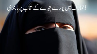 Danish government proposes ban on full-face veils