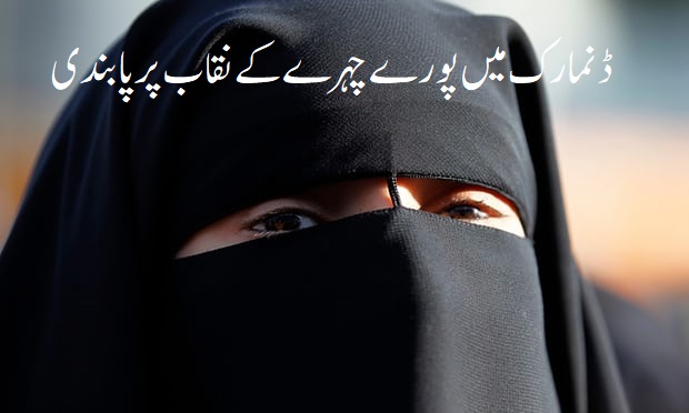Danish government proposes ban on full-face veils Danish government proposes ban on full-face veils