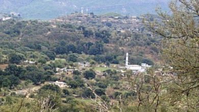 Kallar Syedan; Goats stolen in Nala Musalmana