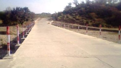 Kallar Syedan; Goats stolen in Sakot