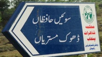 Gujar Khan; Mum along with 2 kids jumps in to well in Sui Hafizan, two dead