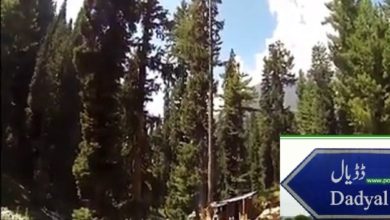 Illegal tree cutting must come to end, Forrest officer Dadyal