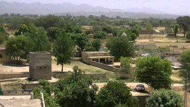 AJK; Mother of two dies after being bitten by snake in village Domal