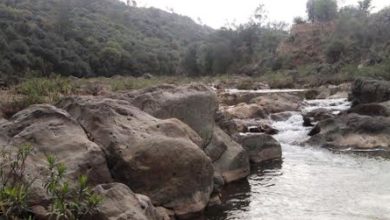 Kahuta; M Nadim of Abbottabad drowns to death while swimming at deadly nalah Ling