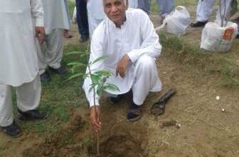 Tree plantation campaign starts at Bhadana school by Ch M Akram