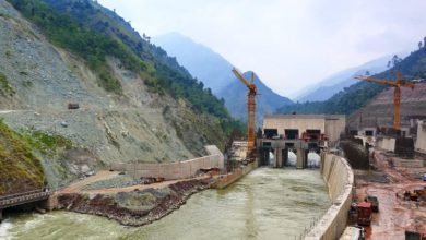 Rawalpindi; Artificial jungle to be planted in Gujar Khan in aid of hydro power project