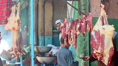 Kallar Syedan: AJK Authorities Seize and Destroy One Maund of Minced Meat Brought from Kallar Syedan to Dadyal