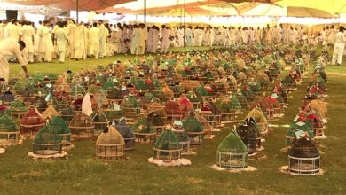 Black francolin (Tittar) tournament held in Kallar Syedan