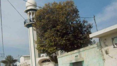 Free medical camp set up in Jand Nijar Free medical camp set up in Jand Nijar