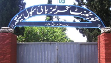 Teenage girl dies of dengue virus in Bhathi, Sakot