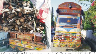 Forrest dept officials take action against timber mafia Forrest dept officials take action against timber mafia