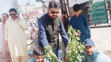 Green team plant tree and clean Chauk Gujar Khan Green team plant tree and clean Chauk Gujar Khan