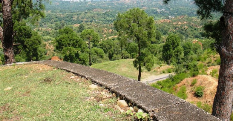 London / Kallar Syedan; British Pakistani attacked in his own home in village Sehr