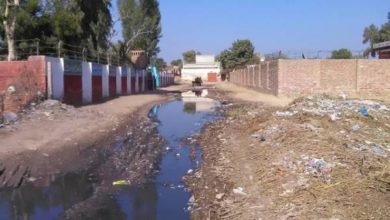 Kallar Syedan: Stagnant Water on Key Road Exposes Punjab Highway Department’s
