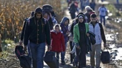 Italy; Major immigration changes effecting immigrants in Italy