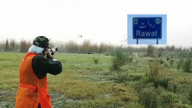 Kallar Syedan; Wildlife official transferred after stopping a relative of Minister hunting