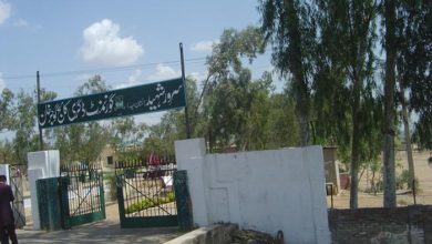 Gujar Khan; Professor Mohammad Farooq Minhas appointed incharge at Sarwar Shaheed college