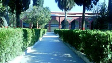 Kahuta: In Kahuta’s school, a student opened shot and injured his fellow classmate.