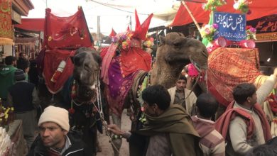 Gujar Khan; Annual Kalyam Shareef mela 2019 held with large number of public participating