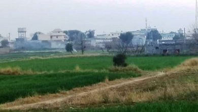 Gujar khan; Armed robbery committed in UC Mankiala Muslim