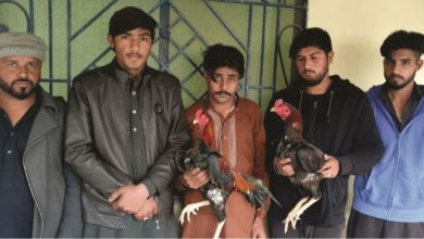 Kallar Syedan; Five Cockerill fight gamblers arrested by police in Bishondote