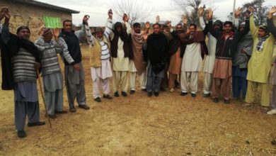 Gujar Khan; Cattle owners fears in union council Islam purra jabber after reports of dying cattle