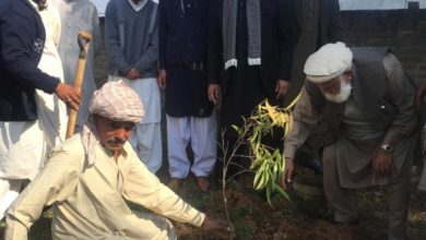 Sir sooba shah; Tree plantation campaign starts