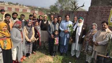 Kallar Syedan; Live stock office Kallar Syedan launch plantation campaign of start of Spring season