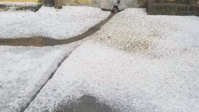 Kallar Syedan; Heavy hailstorm lashes in Pothwar region destroying crops