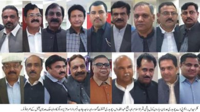 Kallar Syedan; Social and political gathering at the wallima ceremony of Malik Adnan Jalil