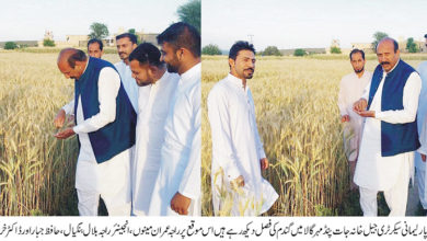 Kahuta; MPA Raja Sagheer Ahmed visits various union councils Kahuta; MPA Raja Sagheer Ahmed visits various union councils
