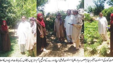 Kahuta; Agriculture department warns farmers of fungus which could destroy crops