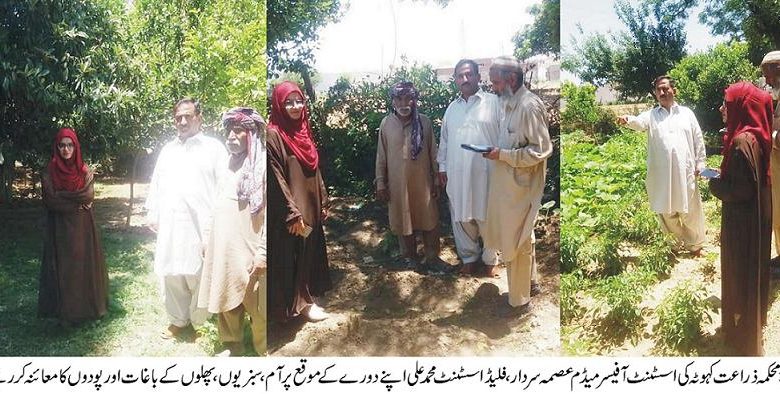 Kahuta; Agriculture department warns farmers of fungus which could destroy crops