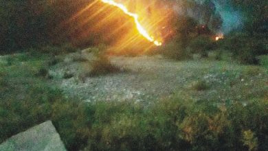 Kahuta; timber mafia set alight trees at Kahuta jungle Kahuta; timber mafia set alight trees at Kahuta jungle