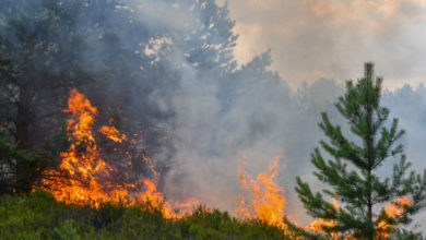 Kahuta: The house of a Kotli Sattian resident was set on fire by arsonist