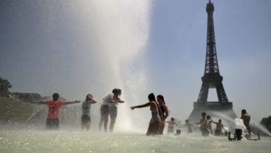 European heatwave: France hits record temperature of 45.9C