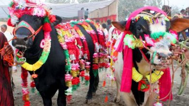 Kallar Syedan; A cell point has been set up at Mangal bypass for buying and selling sacrificial animals