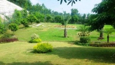 Dadyal, AJK: Wedding of Ch Afaq Parvez celebrated at Rajdhani park