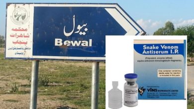Bewal, Gujar Khan; Teenage girl from Bewal bitten by snake + Rest of the day news from Gujar Khan