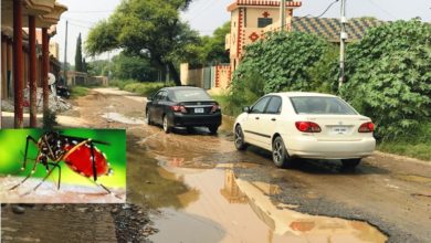 Kallar Syedan; Public concern over unfilled promises by elected leadership and current crisis of dengue virus and Dhungalli to Kallar road left in ruins(See video report)