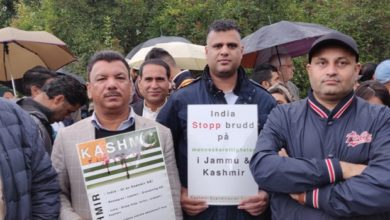 Norway; Kashmir solidarity public rally held in Oslo Norway; Kashmir solidarity public rally held in Oslo
