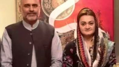 France; Raja Ali Asghar of Changa Bangyal meets with Miryam Nawaz in Paris